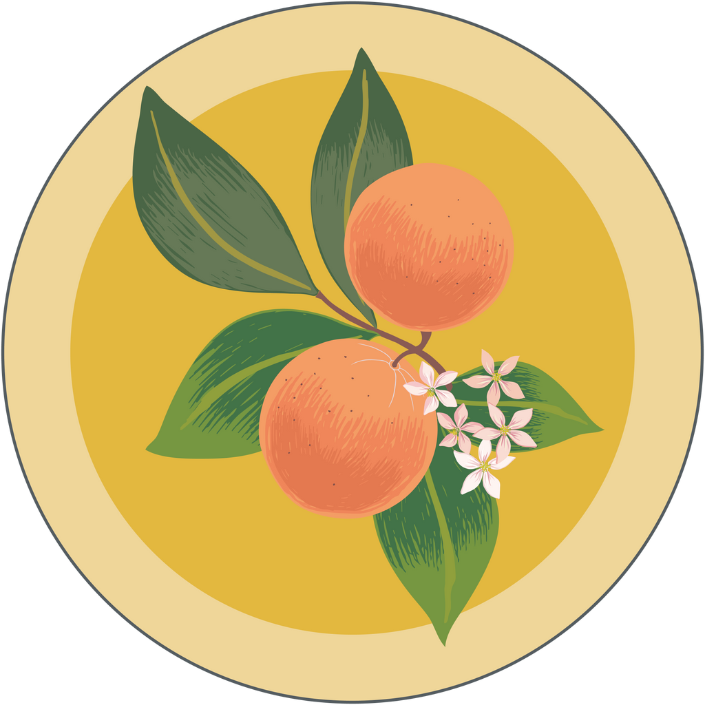 Mandarin - Boho Botanist