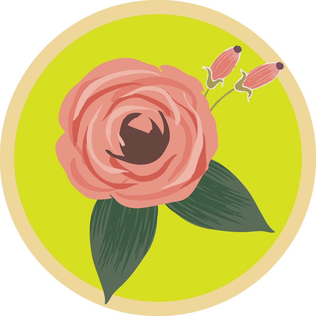 Rose - Boho Botanist