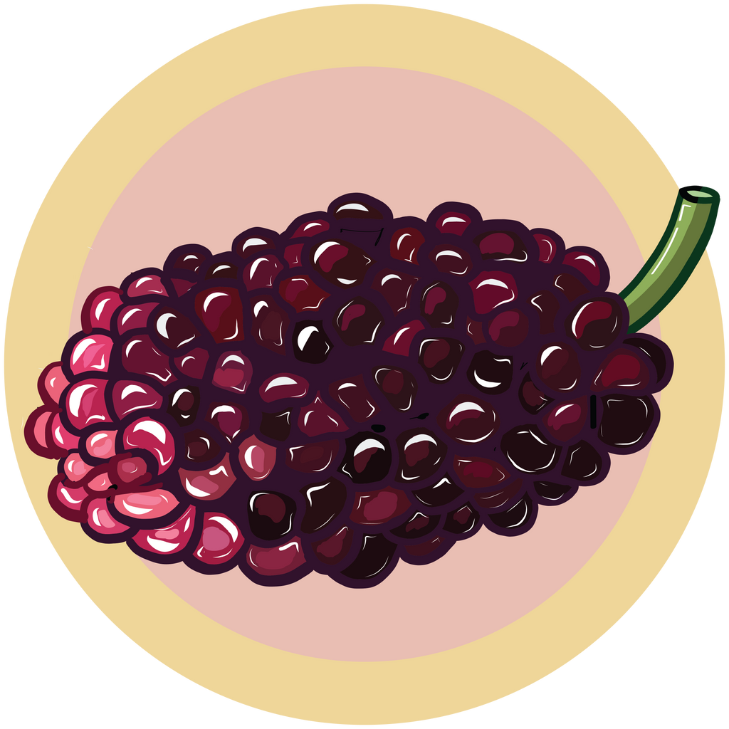 Mulberry - Boho Botanist