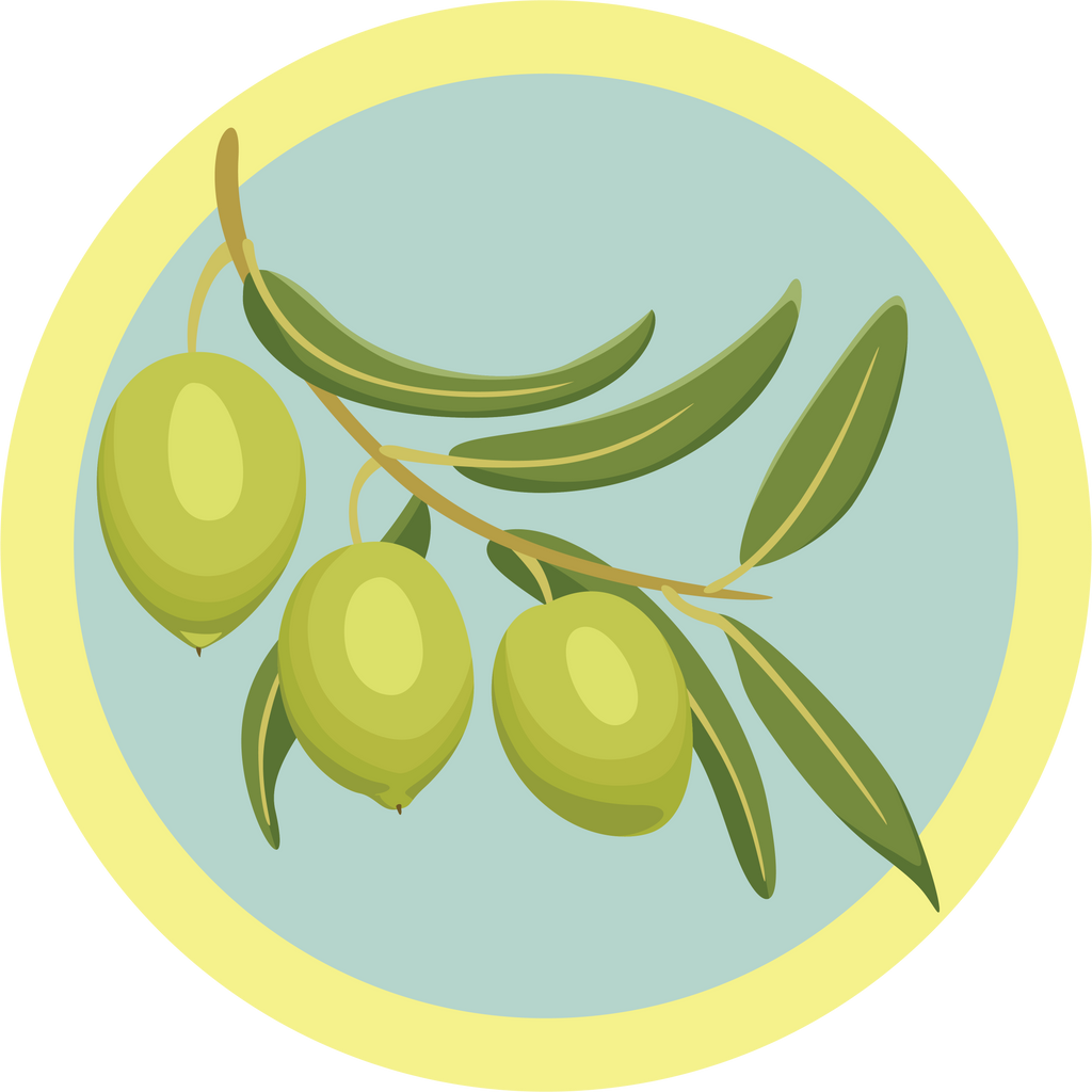 Olive Oil - Boho Botanist