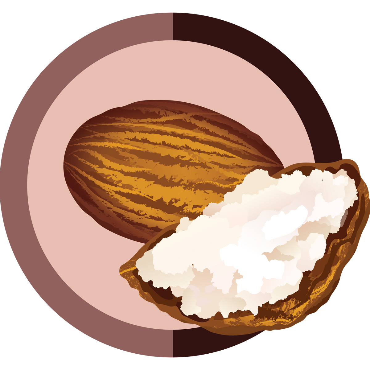 Shea Butter – Boho Botanist