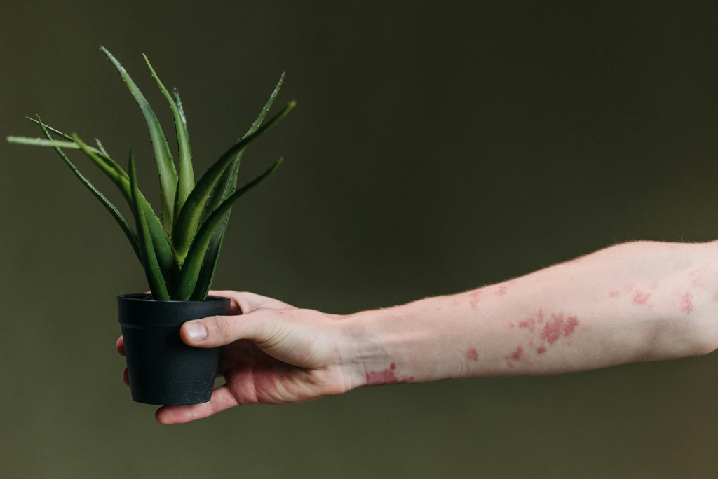 Best Fragrance-Free and IFRA-Certified Body Lotions for Sensitive Skin