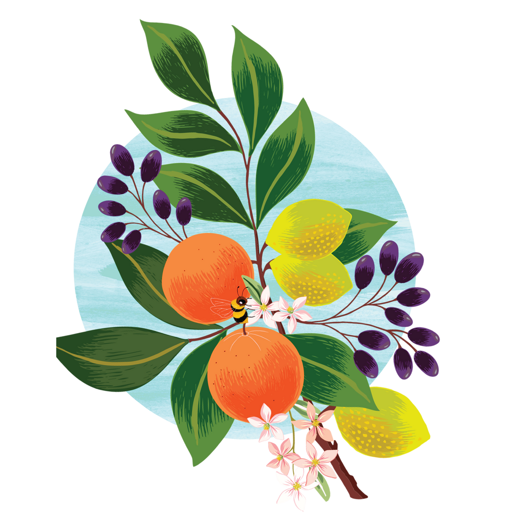 Mandarin & Kakadu Plum - Boho Botanist