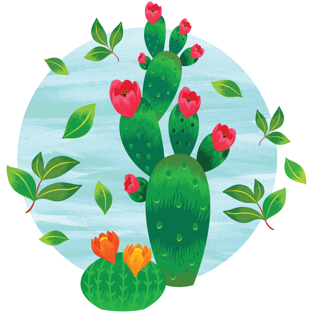 Green Tea & Cactus - Boho Botanist