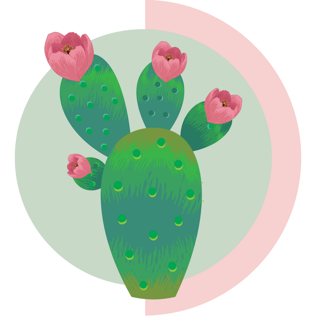 Cactus - Boho Botanist