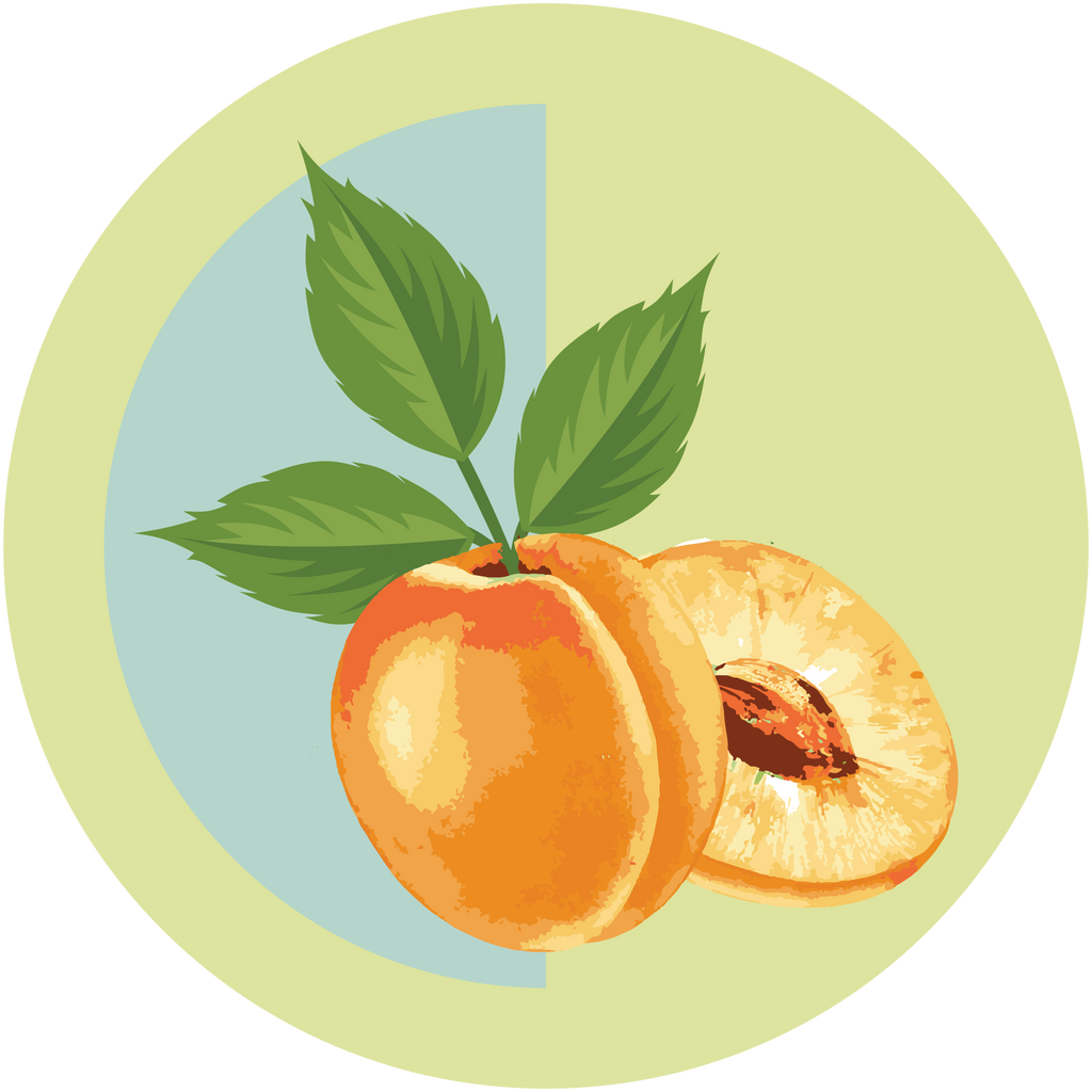 Apricot Oil - Boho Botanist