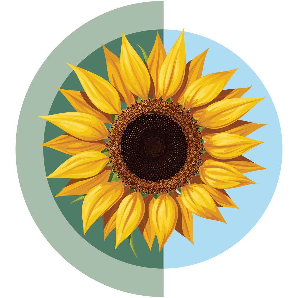 Sunflower Oil - Boho Botanist