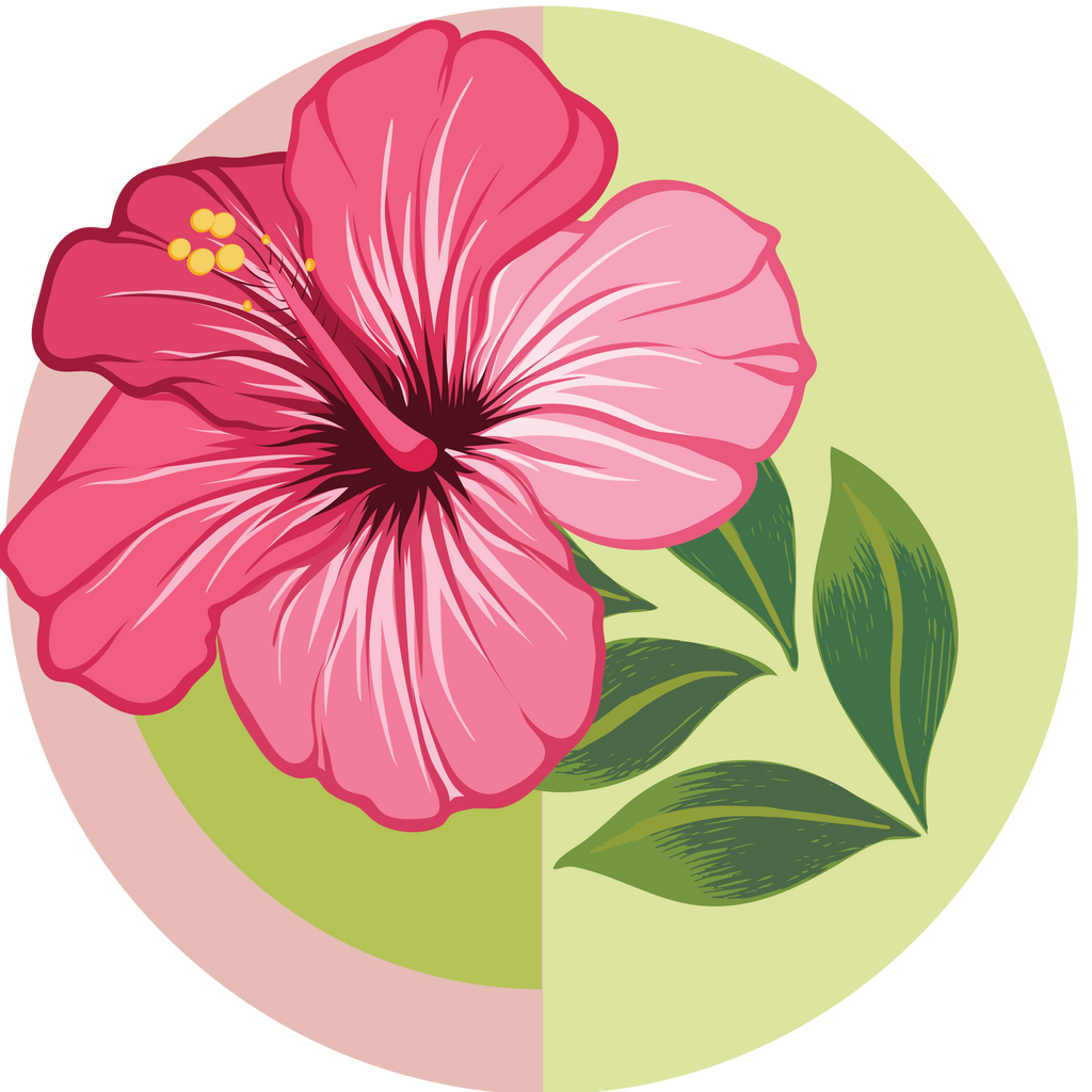 Hibiscus - Boho Botanist