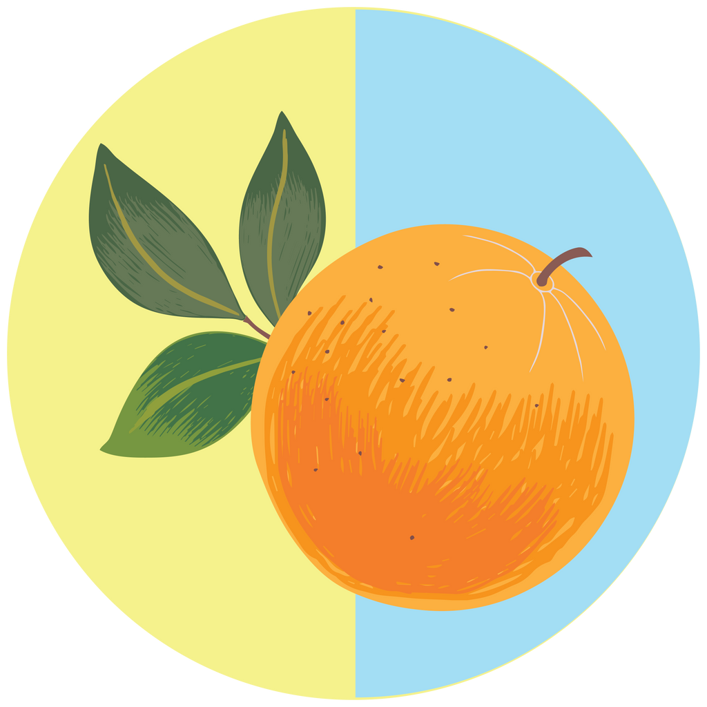 Orange - Boho Botanist