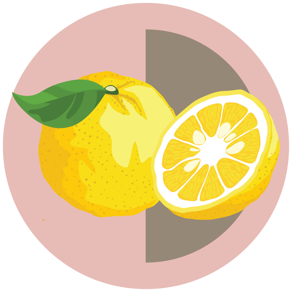 Yuzu Lemon - Boho Botanist
